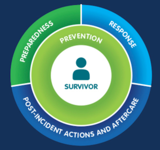 Image for Mobile Guide: Managing Sexual Violence Against Aid Workers